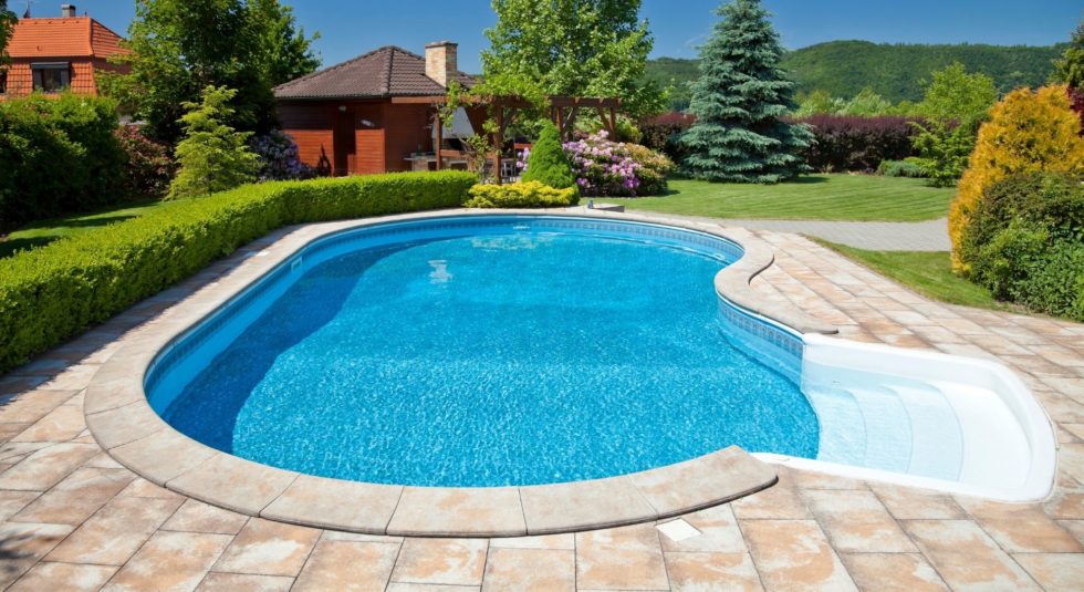 Pool with garden surrounds