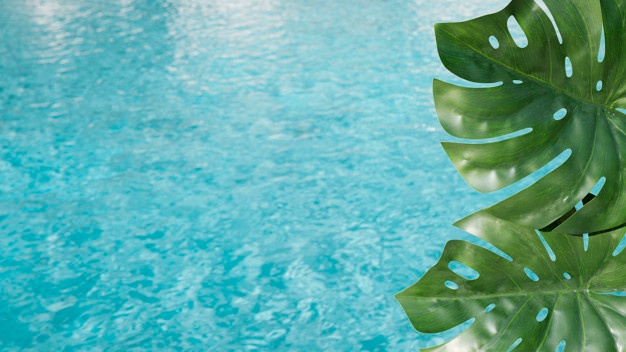 Pool with Green plant